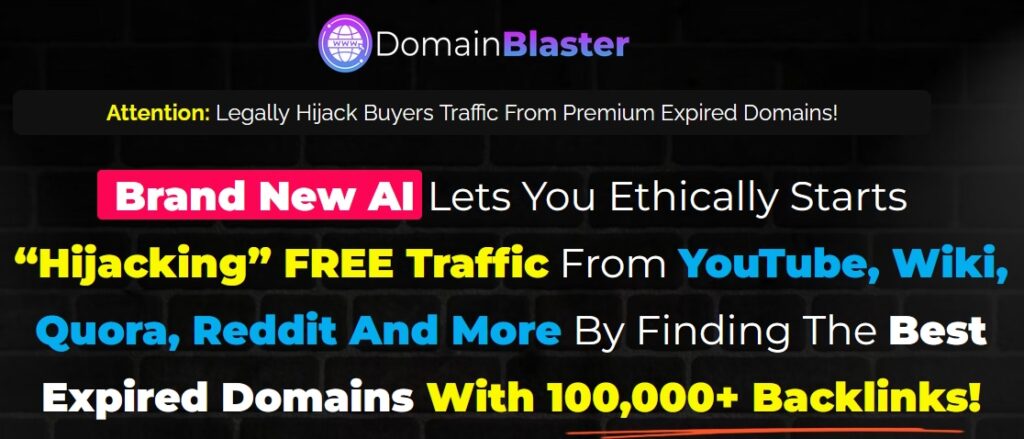 Domain Blaster Review