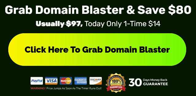 Domain Blaster Review